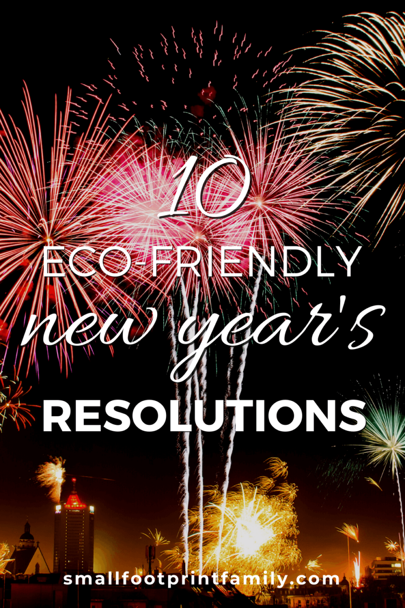 10 Eco Friendly New Year’s Resolutions