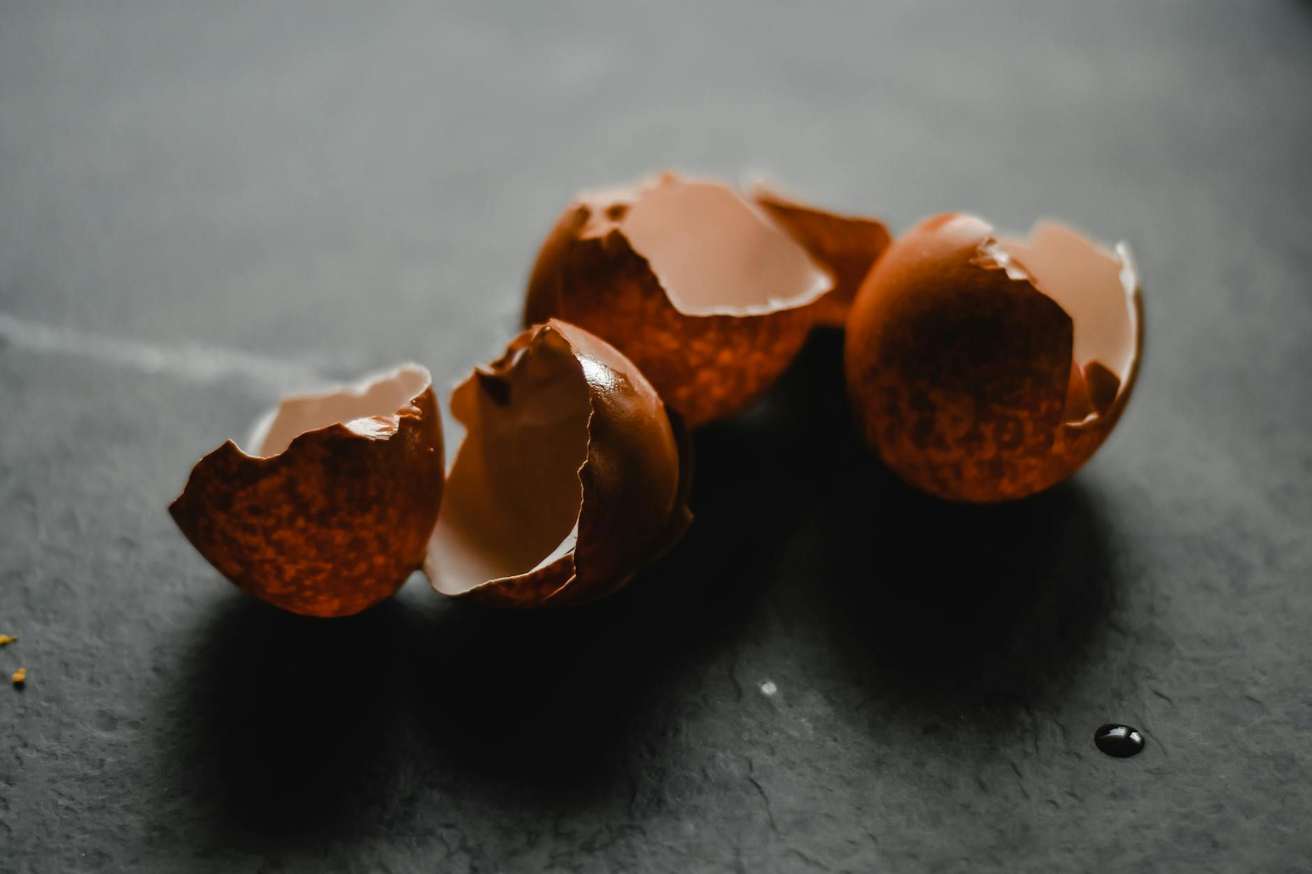 Not a Myth: How & Why You Should Use EggShells in The Garden